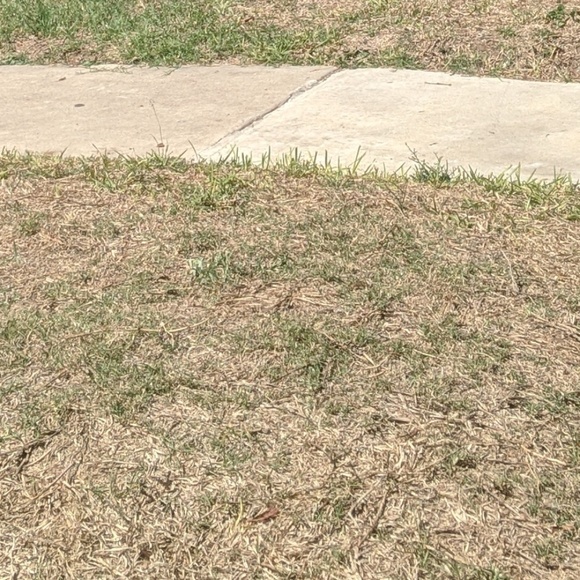 Meet your Posher, David - Picture 1 of 1